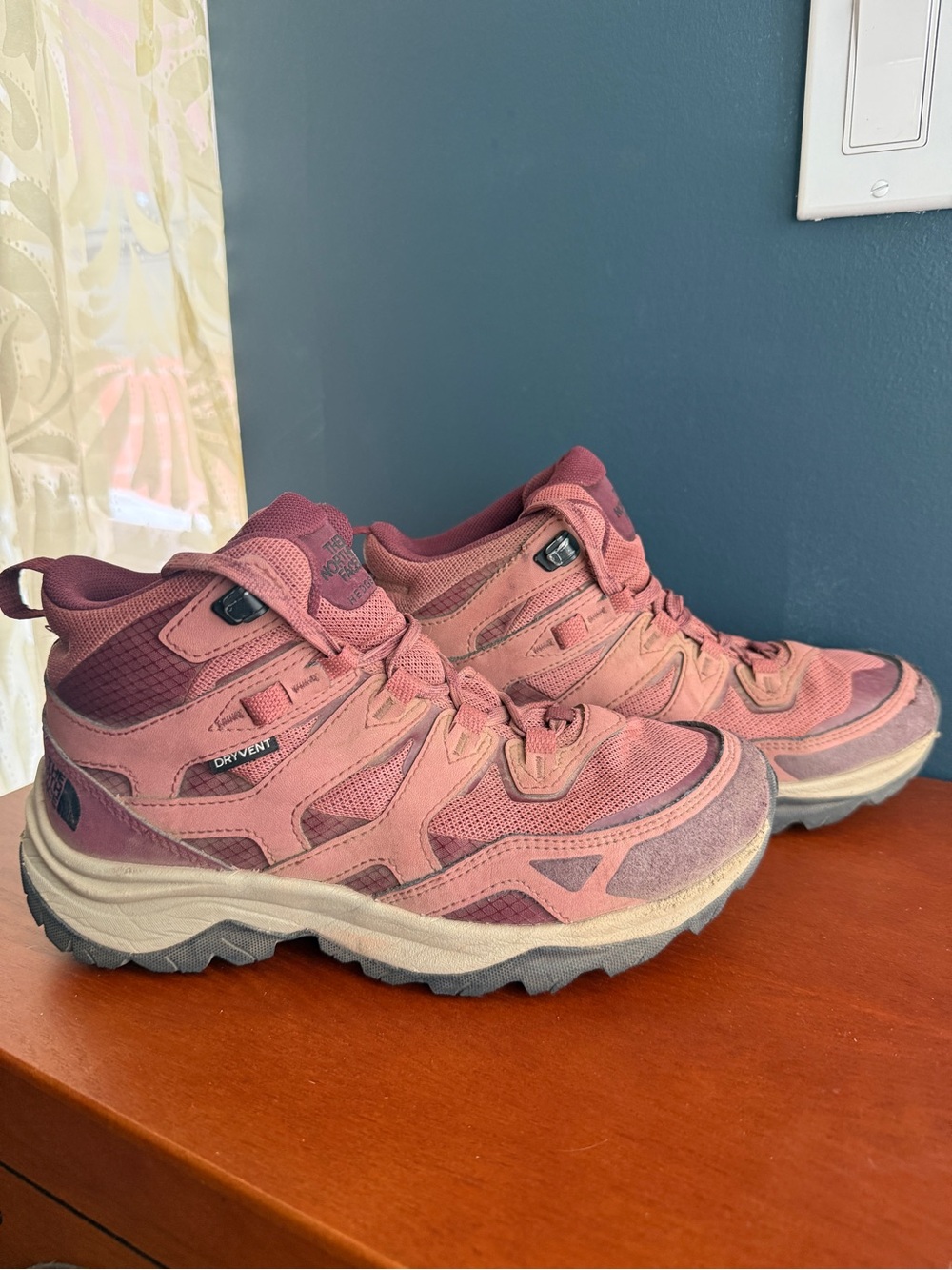 The North Face Trail Hedgehog Mid-Top Hiking Shoes/Boots